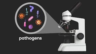 What are pathogens?