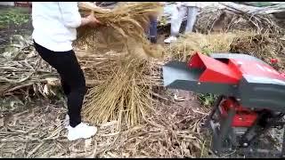 Chaff cutter machine | chaff cutter 3 hp motor | Really kadba kutti machine #chaffcutter