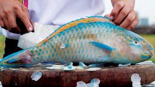 GIANT PARROT-FISH SASHIMI Try to Make Okinawa Japan