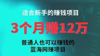 新手网赚项目，3个月赚12万，普通人可以操作赚钱的的蓝海网赚项目！