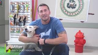 Training Tip: Basic Obedience with Brandon McMillan