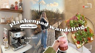 ik heb hem + plankenpad  wandeling ️ | weekvlog #23