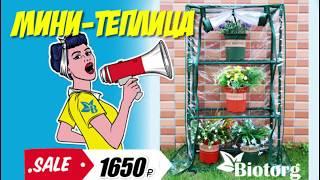 Сравнение теплицы, парника