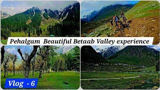 Kashmir Pehelgam In Summer ️ Betaab Valley