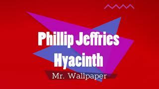 Wallpaper: Phillip Jeffries Hyacinth - How to Install - Spencer Colgan