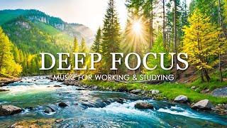 Work Music for Concentration - 12 Hours of Ambient Study Music to Concentrate #6