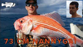 EP11F - 73CM Nannygai (Bight Redfish) in deeper water