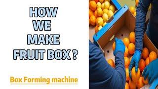 Fruit Vegetable Carton Box Forming Packing Machine For Folding Gluing Corrugated Board Trays