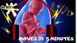  Pregnancy music for unborn baby  Brain development  Baby kick in the womb 