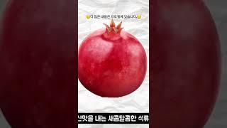 석류에 대해 알아보자 #과일추천 #석류 #이상사