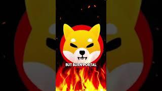 ️ Shytoshi on SHIBA INU Burns!  #shib #shiba #shibainu