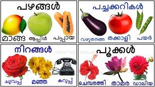 പഴങ്ങൾ fruits name in malayalam with pictures,/പഴങ്ങൾ അവയുടെ ഇംഗ്ലീഷ് മലയാളം പേരുകൾ@Prinitmalayalam