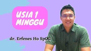 Trimester Pertama Kehamilan | dr Erfenes Ho SpOG