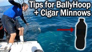 Catching Cigar Minnows with the BallyHoop and Tips for Keeping them Alive