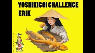 Yoshikigoi Challenge: groot succes Erik met ginrin chagoi en yamabuki in imposante opgroei!