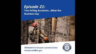 Episode 21 - Tree Felling Accidents...What The Numbers Say