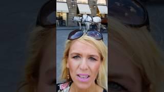 Roaming Historian in Florence at Palazzo Vecchio