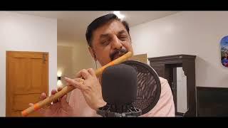 Gopuramukalil | Ekalavya Flute Series | DrGokul |