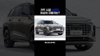 유난히 PPF 시공이 어려운 자동차 TOP