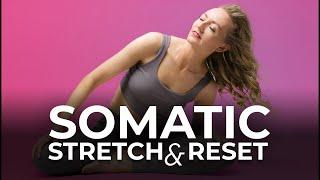 SOMATIC YOGA PRACTICE WITH MUSIC - Gentle Nervous System Reset Yummy Stretches + Lymphatic Drainage