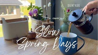 Silent Vlog | Slow Living in Oslo & Celebrating Norway 