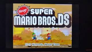 I got Newer Super Mario Bros. DS!