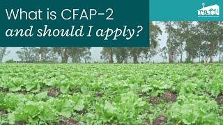 What's CFAP-2 and should I apply: Part 1 of 4