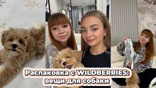 Завели Мальтипу: обзор покупок для собачки с Wildberries 