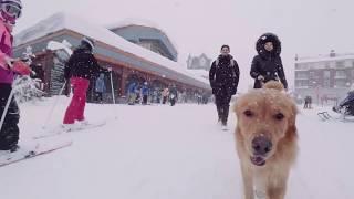 Big White Ski Resort, BC, Canada