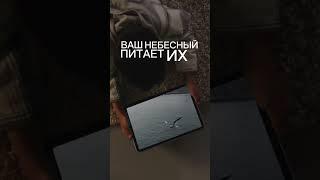 #библия #христианство #мудрость #смысл