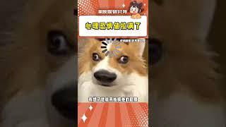 正義雖變態但到達#看一次笑一次 #原諒我不厚道的笑了 #神操作