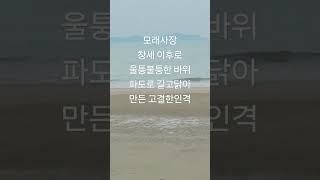 모래사장4 최길용 신안증도 짱뚱어해변