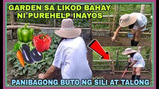 GARDEN SA LIKOD BAHAY NI PUREHELP LUPA PINATAG BAGONG BUTO NG SILI AT TALONG PINUNLA ULIT