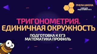 Тригонометрия. Единичная окружность. Определение углов по окружности | Подготовка к ЕГЭ Математика