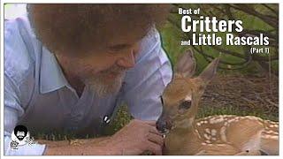 Critters and Little Rascals (Part 1) | The Joy of Painting with Bob Ross