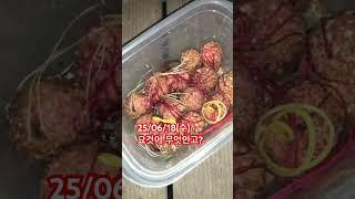 떡밥 쉬엇어요! 고기 배탈나겟어요! #향어낚시 #향어채비 #향어 #떡밥낚시 #떡밥 #떡밥채비 #어분 #향어미끼 #붕어낚시 #한강낚시