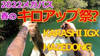 メガバス カラシIGX／Newハゼドン 使ってきました/Megabass KARASHI IGX/CUSTOM WORM HAZEDONG