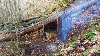 Bushcraft Shelter Camping - Off Grid Cooking, Survival Skills, Campfire, Asmr, Diy