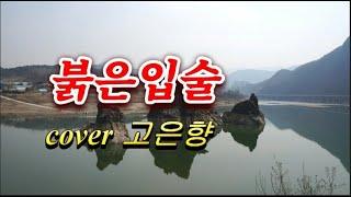 붉은입술 cover고은향 230128(나훈아)