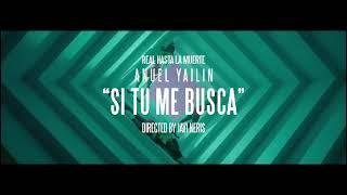 Anuel AA x Yailin La Mas Viral - Si Tu Me Busca (Preview 2022)