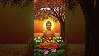 부처님말씀 - “오늘 하루, 이렇게 비워보세요" #부처님말씀 #불교명언 #부처님 #명상