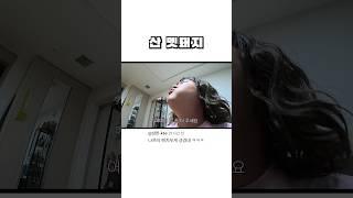 산 멧돼지 민가 습격