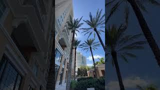 Downtown Sarasota Life #shorts #sarasota #floridarealtor #movingtosarasota