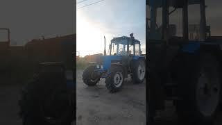 #subscribe #viral #ферма #cute #top #combat #сельскоехозяйство #cat #жизнь #мир #мтз #беларусь