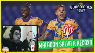  REACCIONANDO a TIGRES 1-1 NECAXA | GUARDIANES 2021 