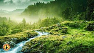 Relaxing Music, Stress Relief Music, Sleep Music, Meditation Music, Calming Music, River