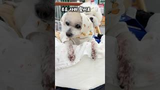 마트 가는 길, 16살 디테가 제일 신나요”