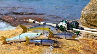 Giant Electronic SwimBait Challenge!!! | Jiggin' With Jordan