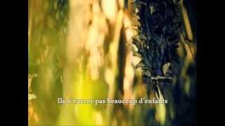 Rose - De Ma Fenêtre  (with lyrics)