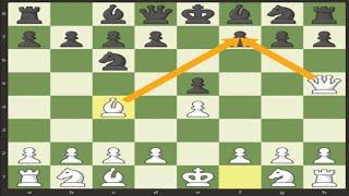 Trying To SCHOLARS MATE The GothamChess Bot (Gone Wrong)
